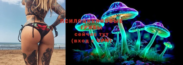 сатива Армянск