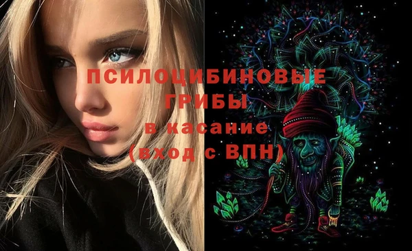 сатива Армянск