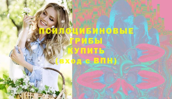 сатива Армянск