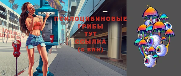 сатива Армянск