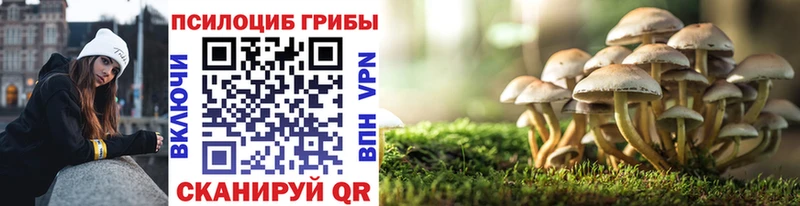 Псилоцибиновые грибы GOLDEN TEACHER  где купить   Бирюч 