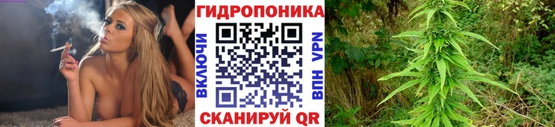 Бошки Шишки сатива Бирюч